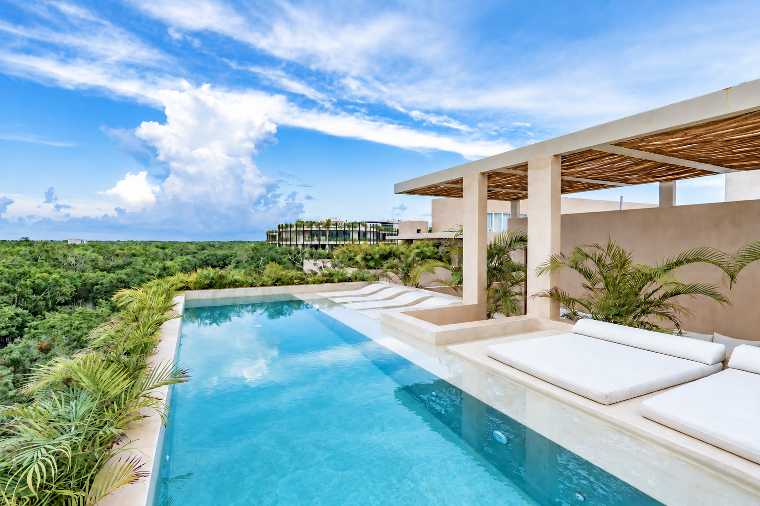 Rooftop pool and sun loungers overlooking the treetops